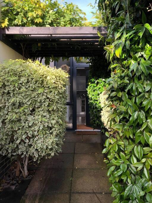 Private Garden Oasis In Central بريستول المظهر الخارجي الصورة